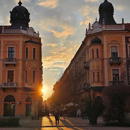 La Belle époque Downtown Debrecen, Historic ,boutique Stay, Private Salon *